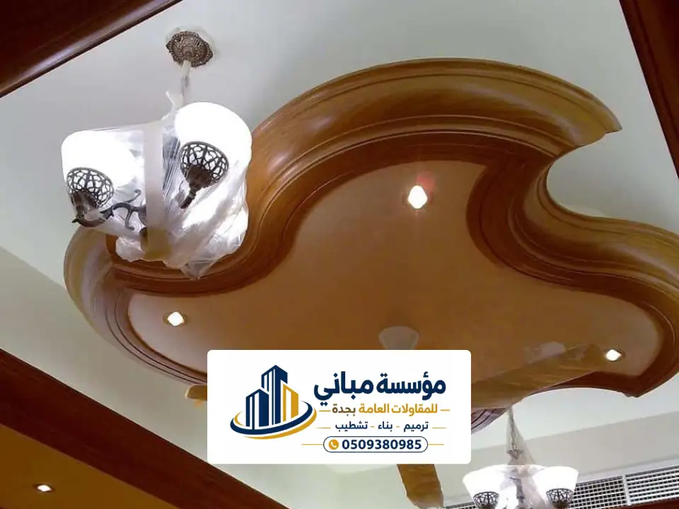 فني لياسة ملونة للفلل في جدة